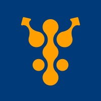 Jiraaf