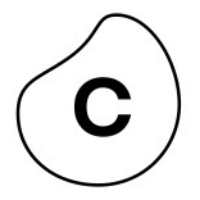 Celonis
