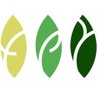 TPY Capital