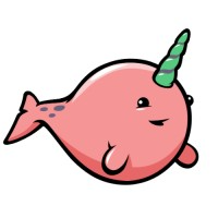Narwhal Ventures 🌊