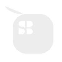 Silicon Box Pte Ltd