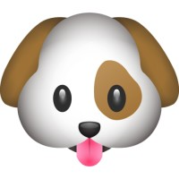 PetPair