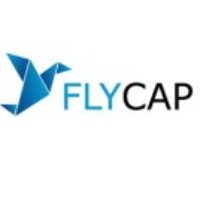 FlyCap