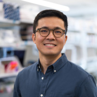 Xinchen Wang