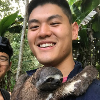 AJ Ding