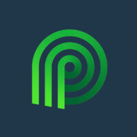 Palmetto