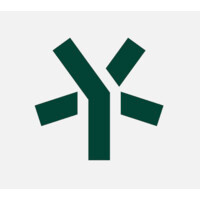 5Y Capital