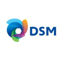 DSM Venturing