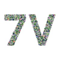The 7 Virtues Beauty Inc.