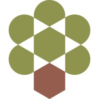 Olive Tree Capital