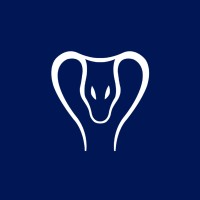 Vasuki Global Tech Fund