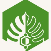 Cambrian Network