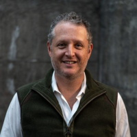 Michael Finkelstein