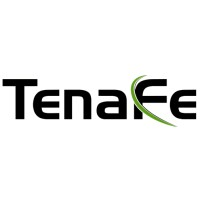 TenaFe Inc