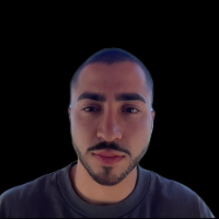 Ali Ansari